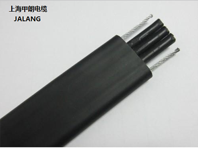 <strong><font color='38060B'>行車扁電纜-雙鋼絲</font></strong>